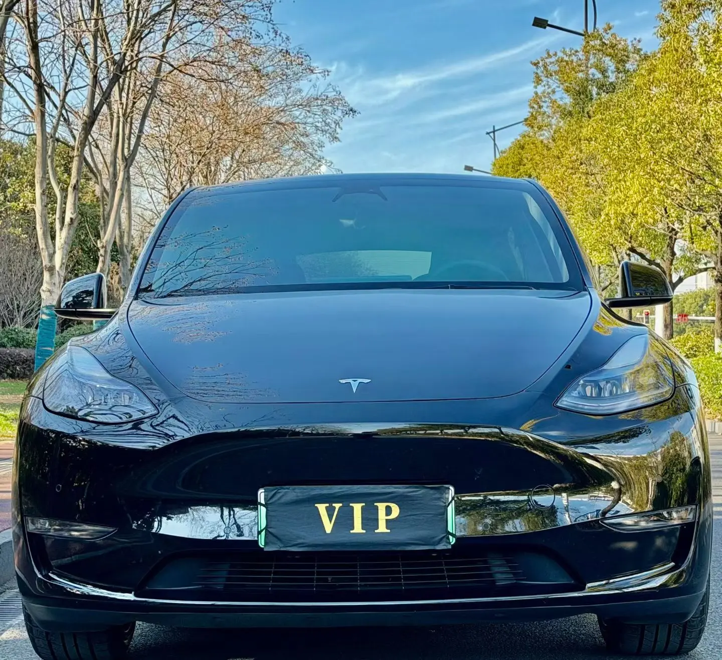 Tesla Model Y  из Китая