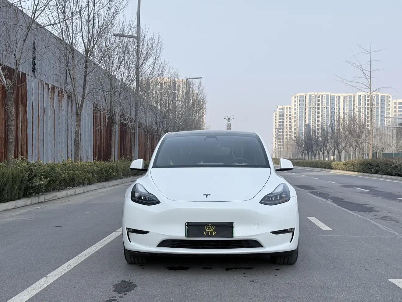 Tesla Model Y  из Китая