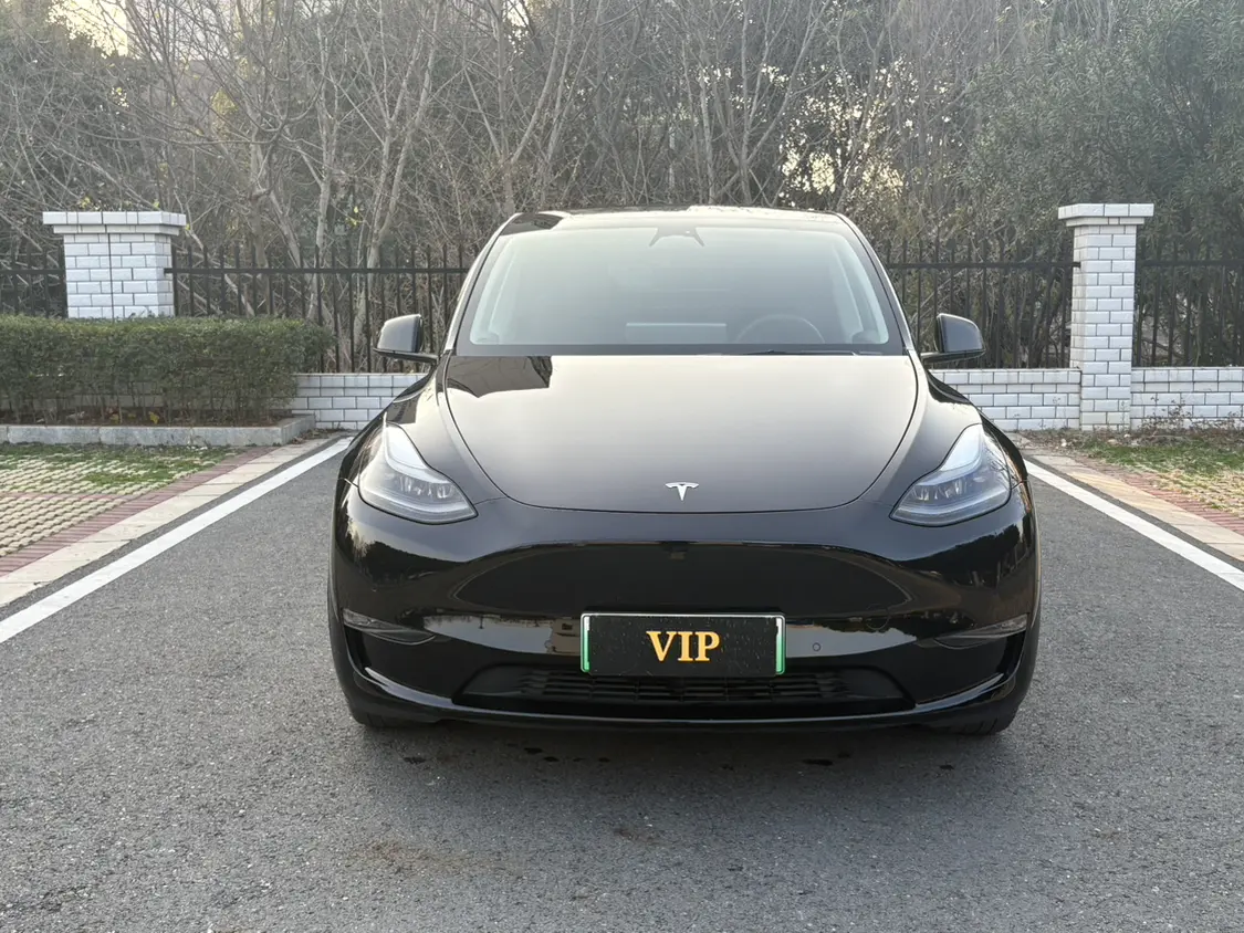 Tesla Model Y  из Китая