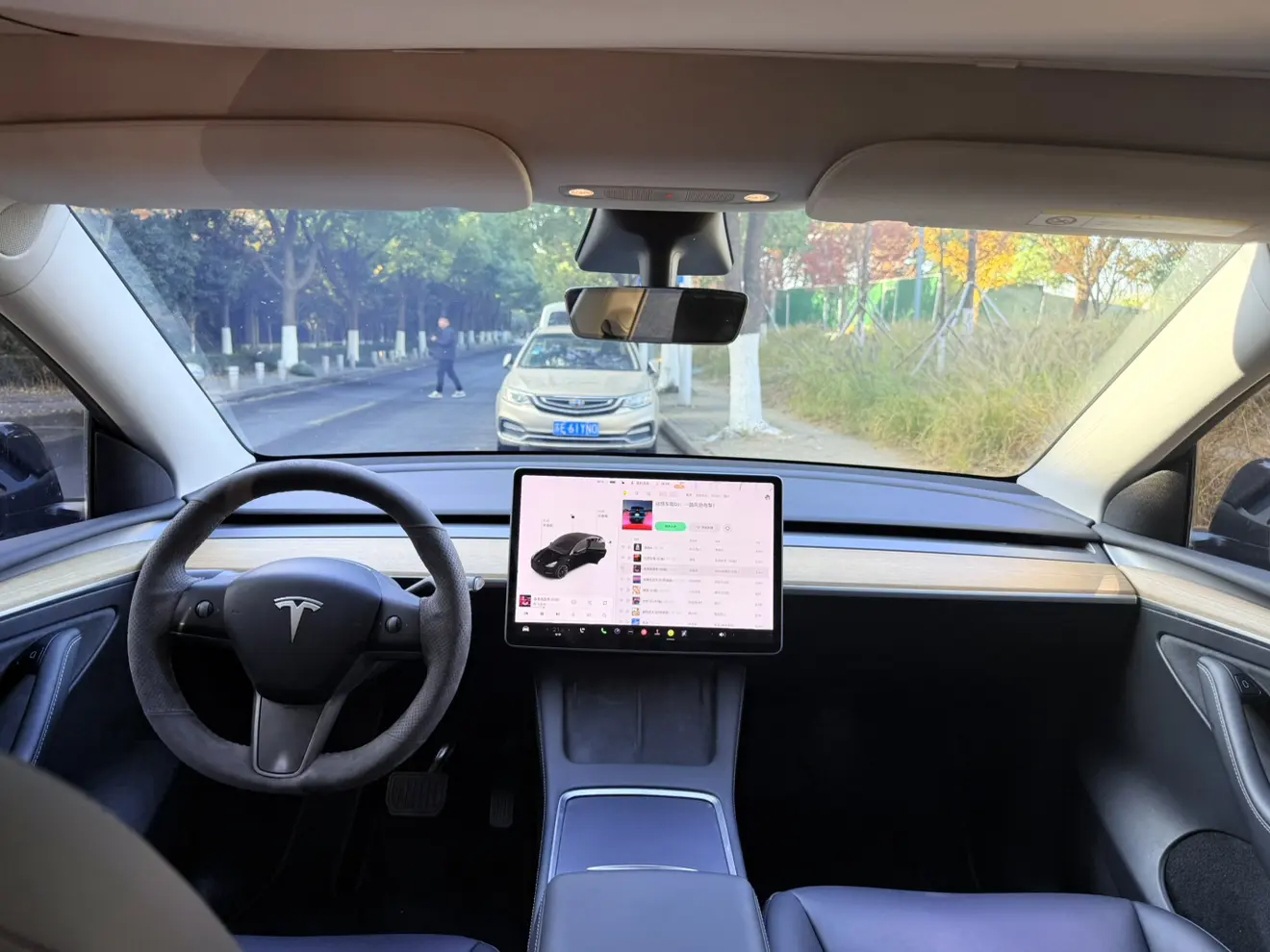 Tesla Model Y  из Китая