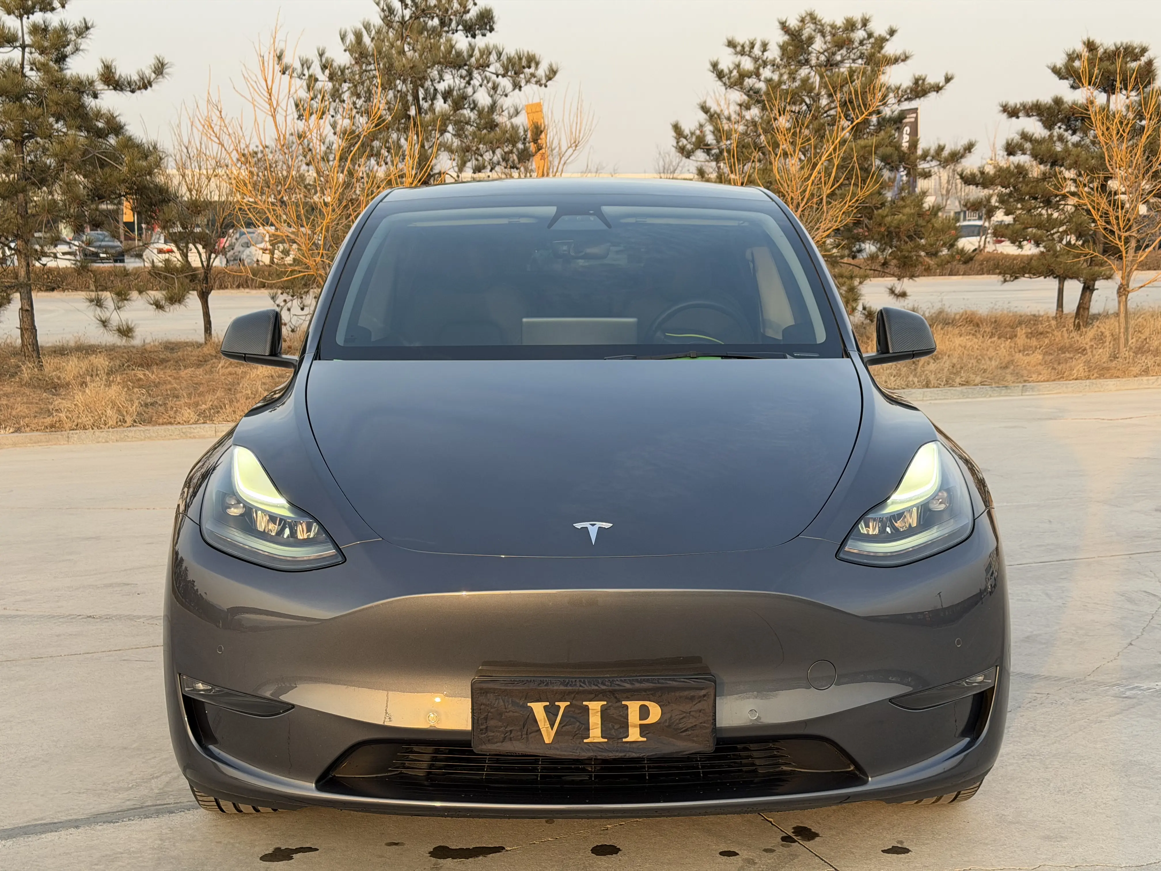 Tesla Model Y  из Китая