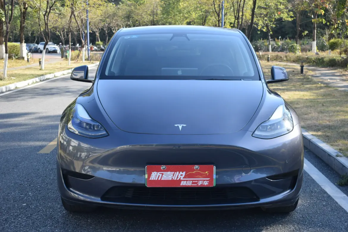 Tesla Model Y  из Китая