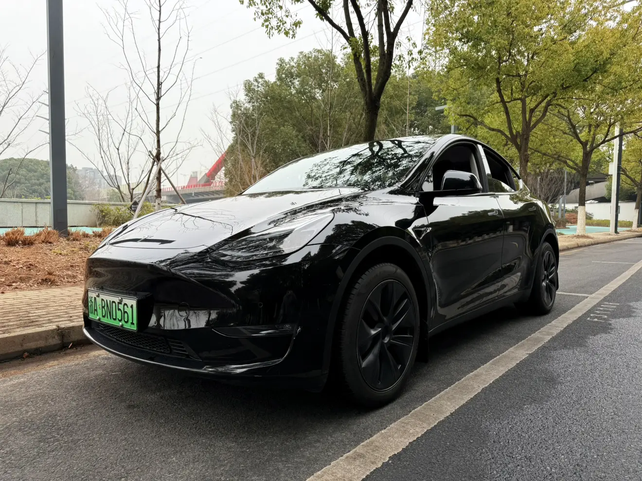 Tesla Model Y  из Китая