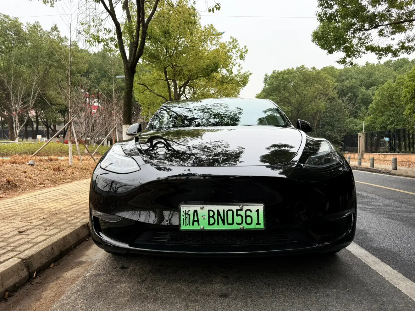 Tesla Model Y  из Китая