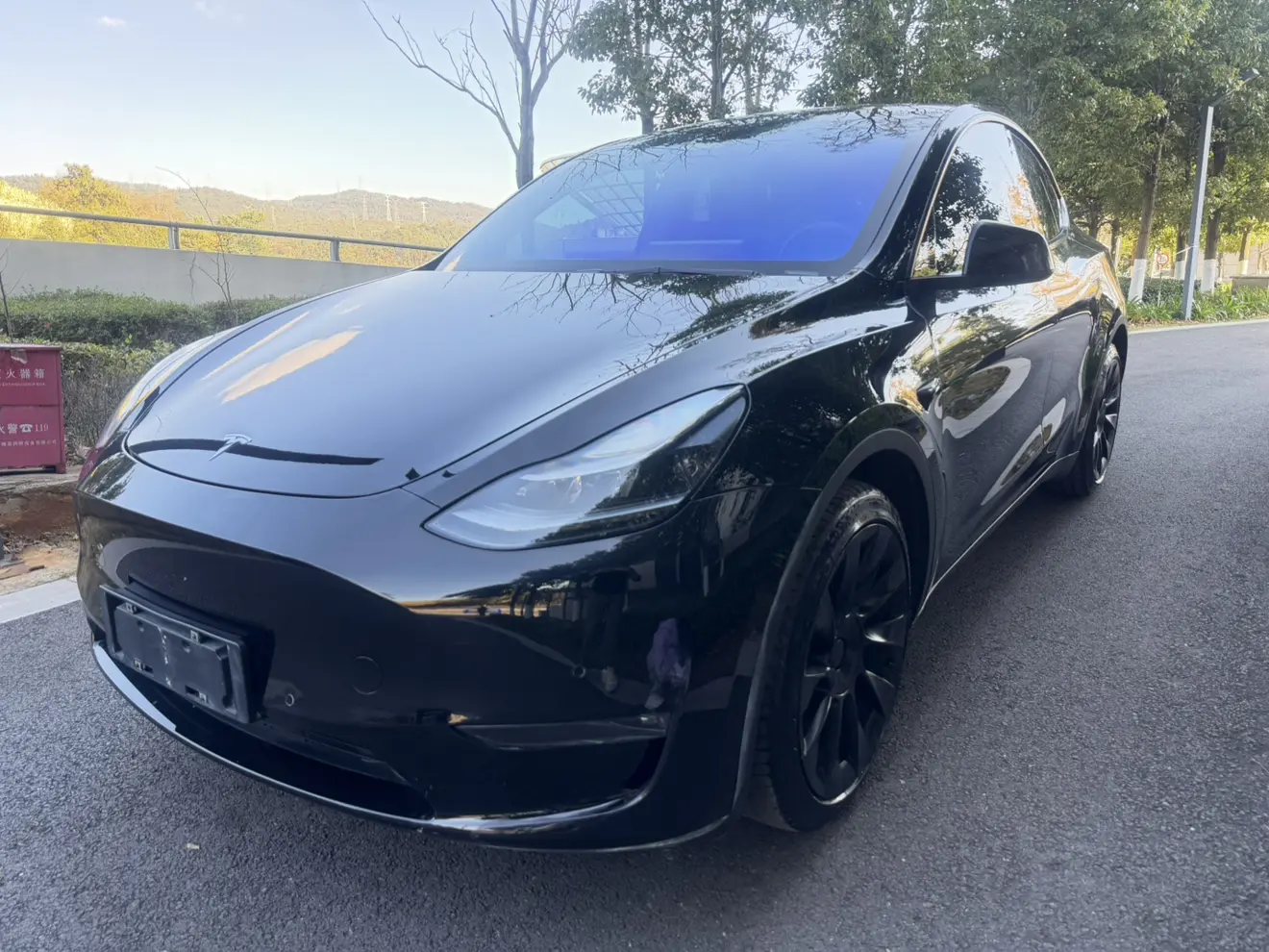 Tesla Model Y  из Китая