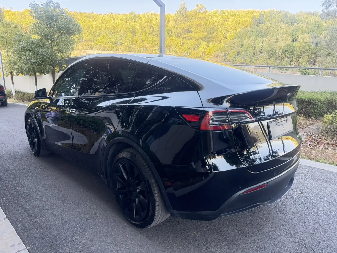 Tesla Model Y  из Китая