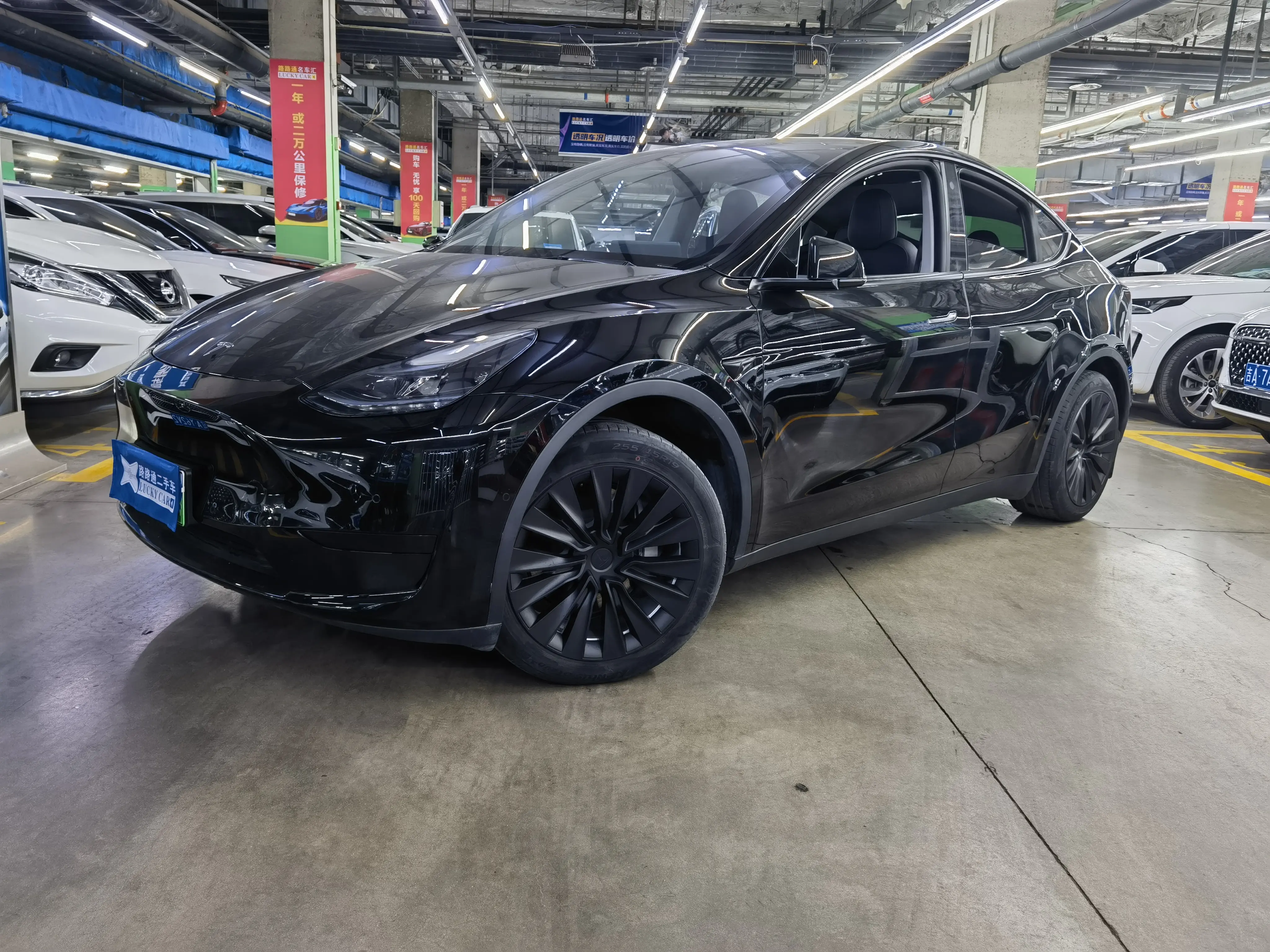 Tesla Model Y  из Китая