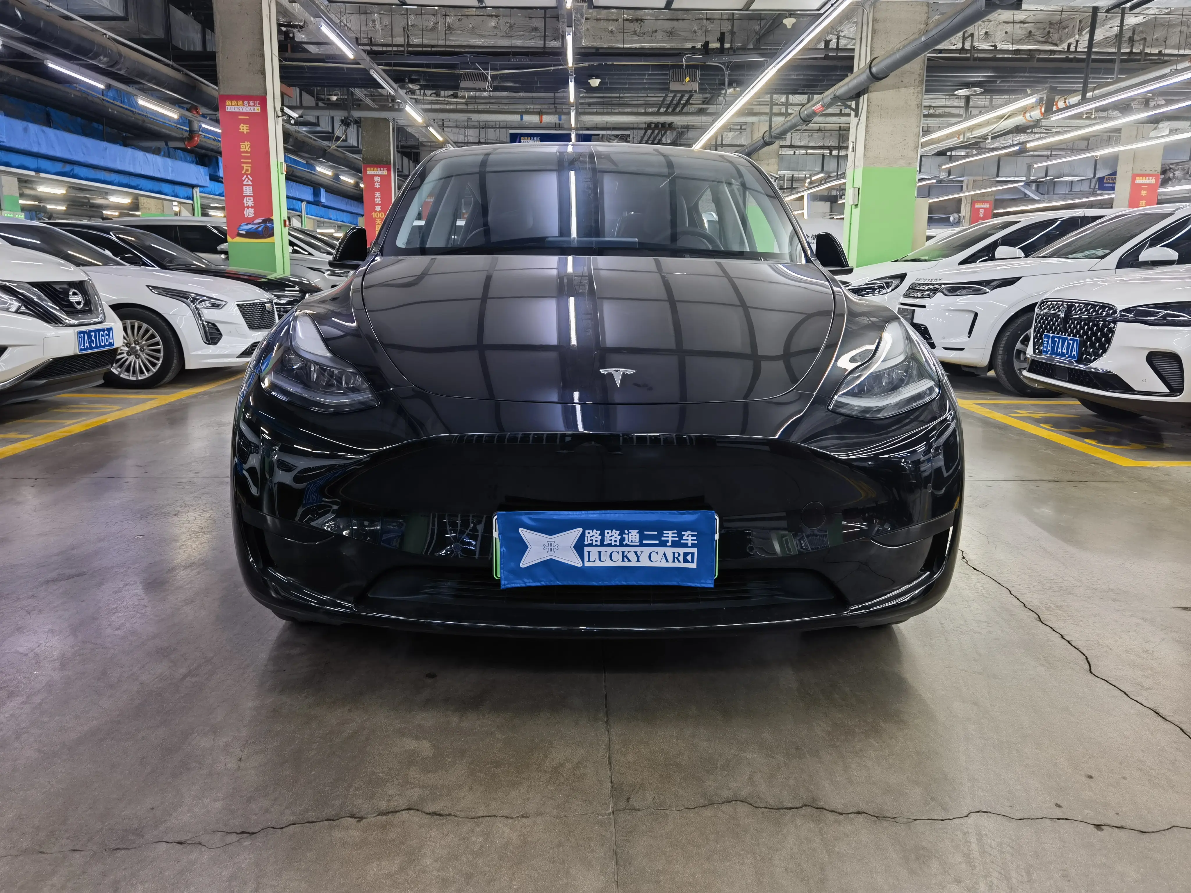 Tesla Model Y  из Китая