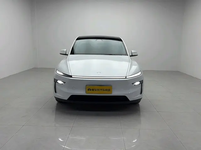 Tesla Model Y  из Китая