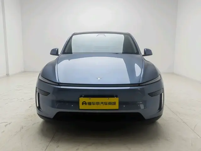Tesla Model Y  из Китая
