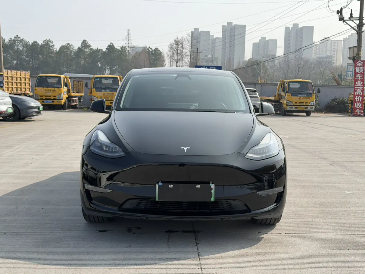 Tesla Model Y  из Китая