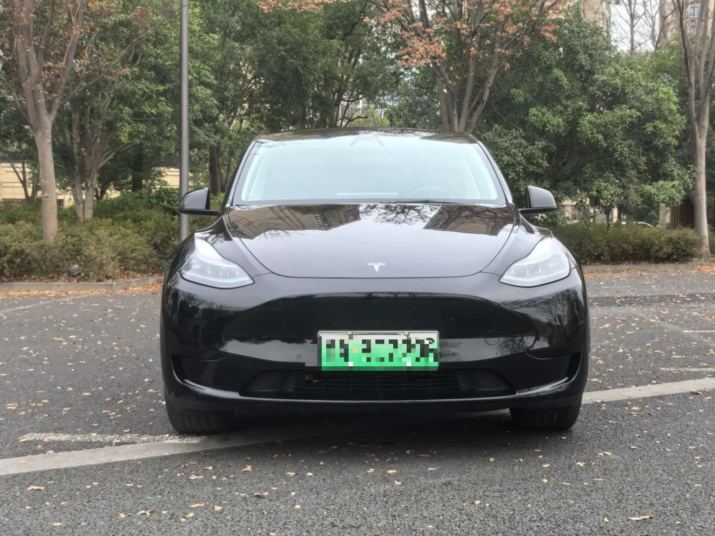 Tesla Model Y  из Китая