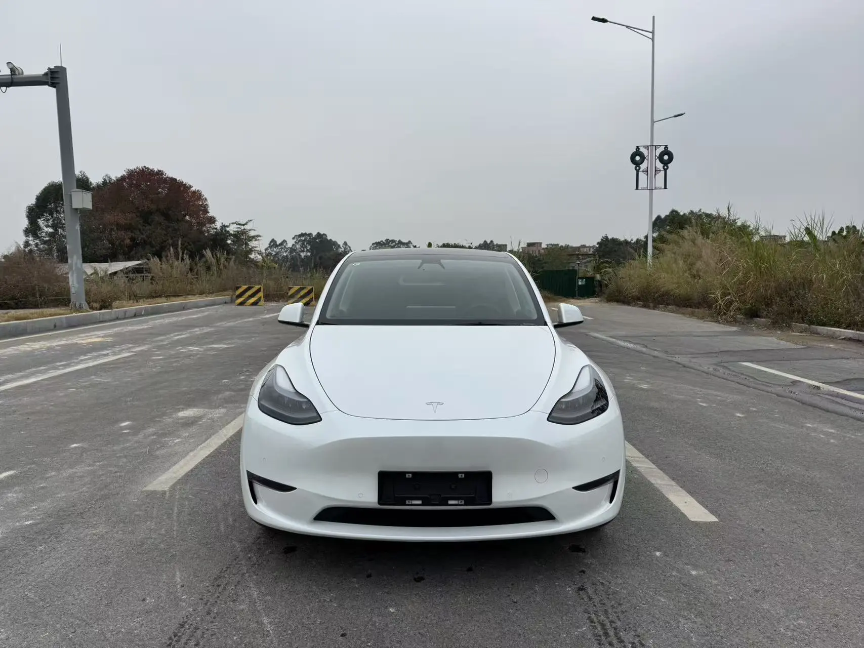 Tesla Model Y  из Китая