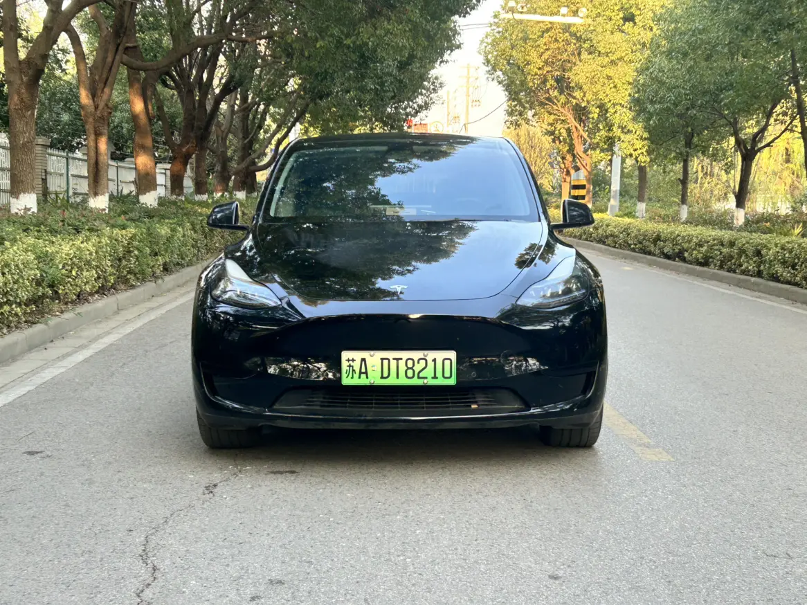 Tesla Model Y  из Китая
