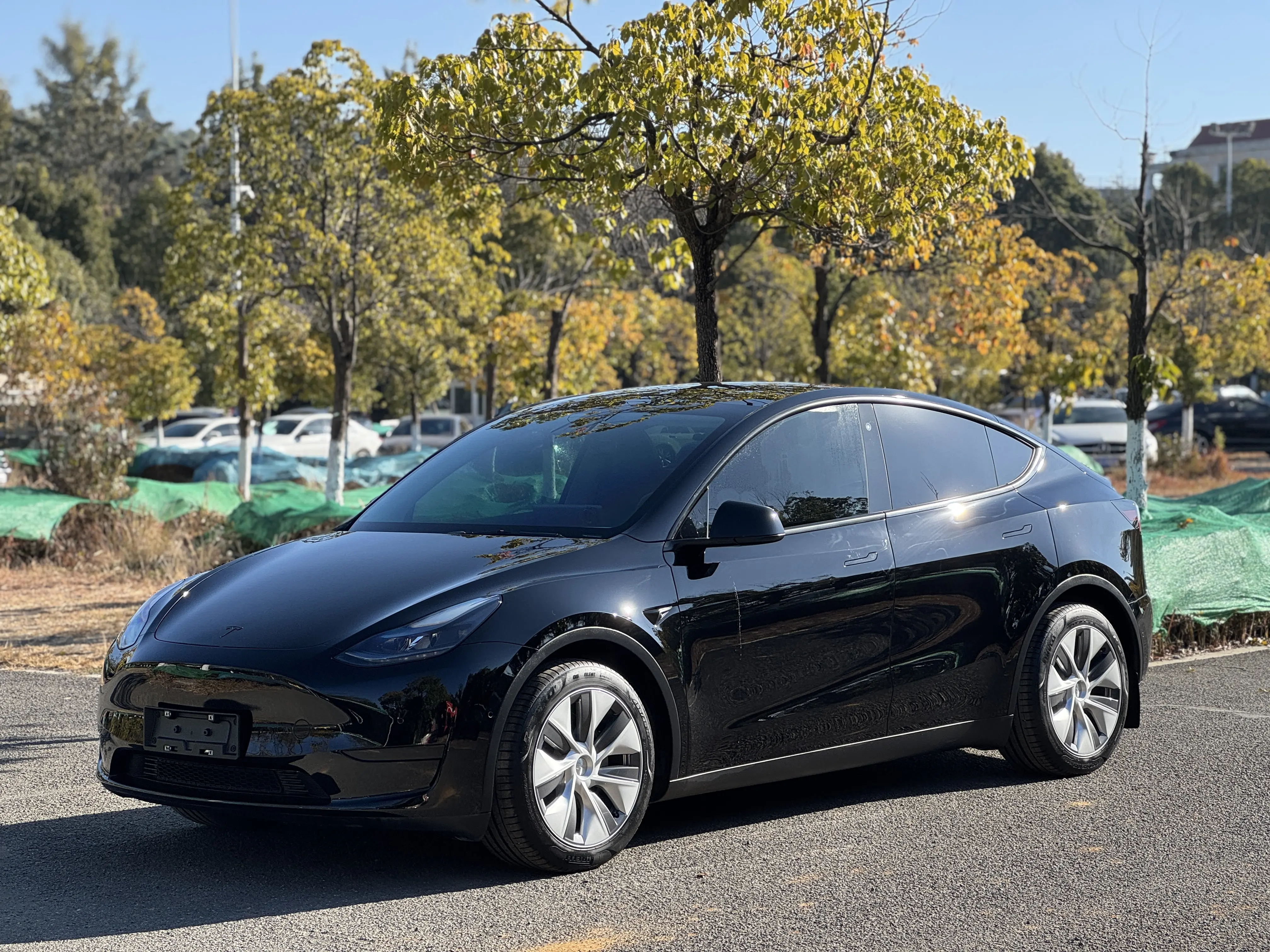 Tesla Model Y  из Китая
