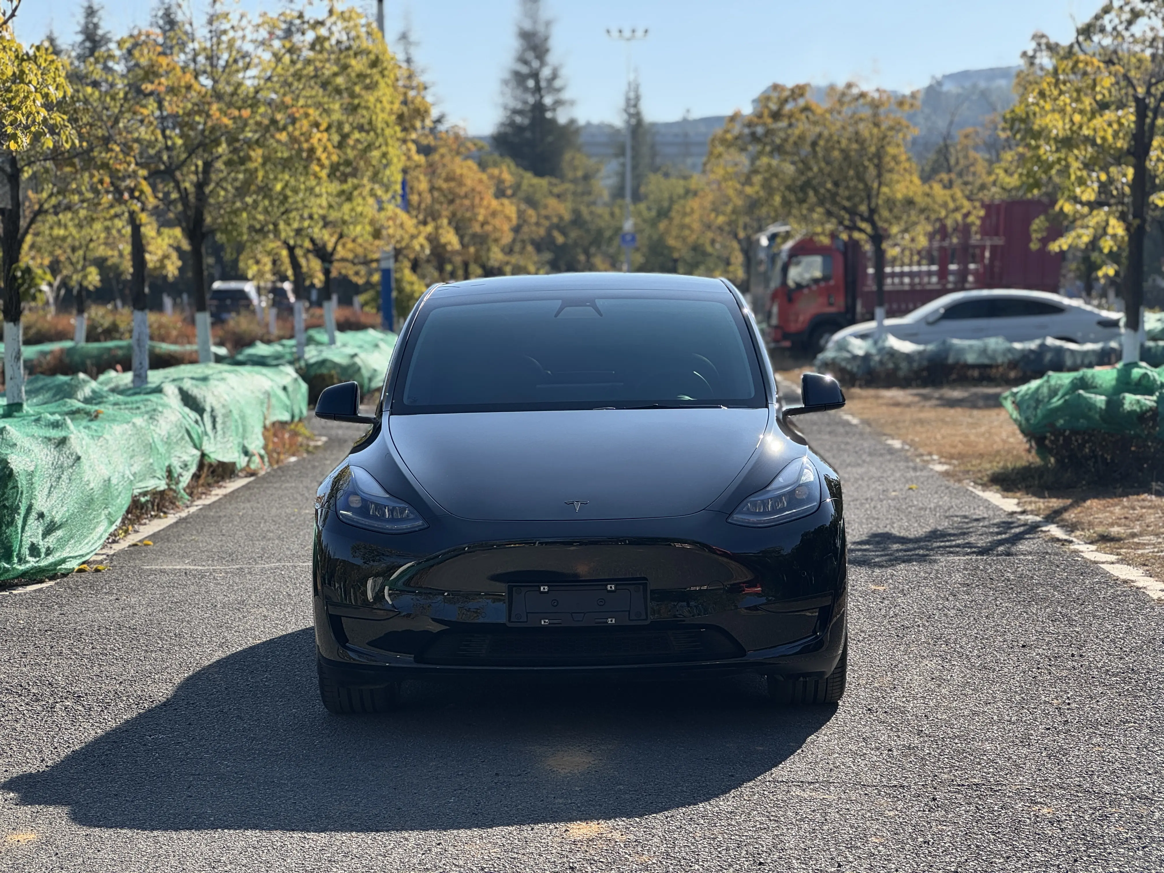 Tesla Model Y  из Китая