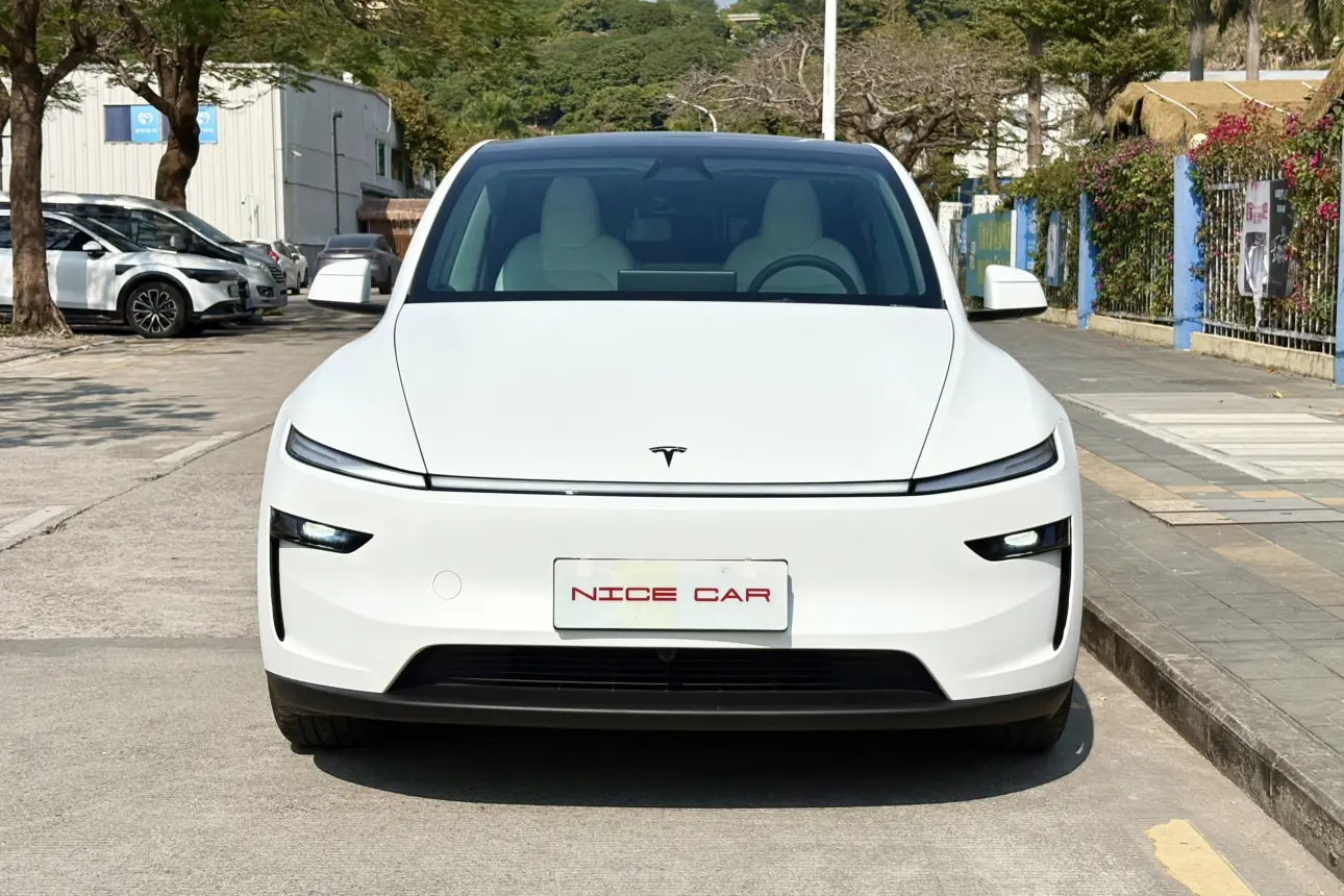 Tesla Model Y  из Китая