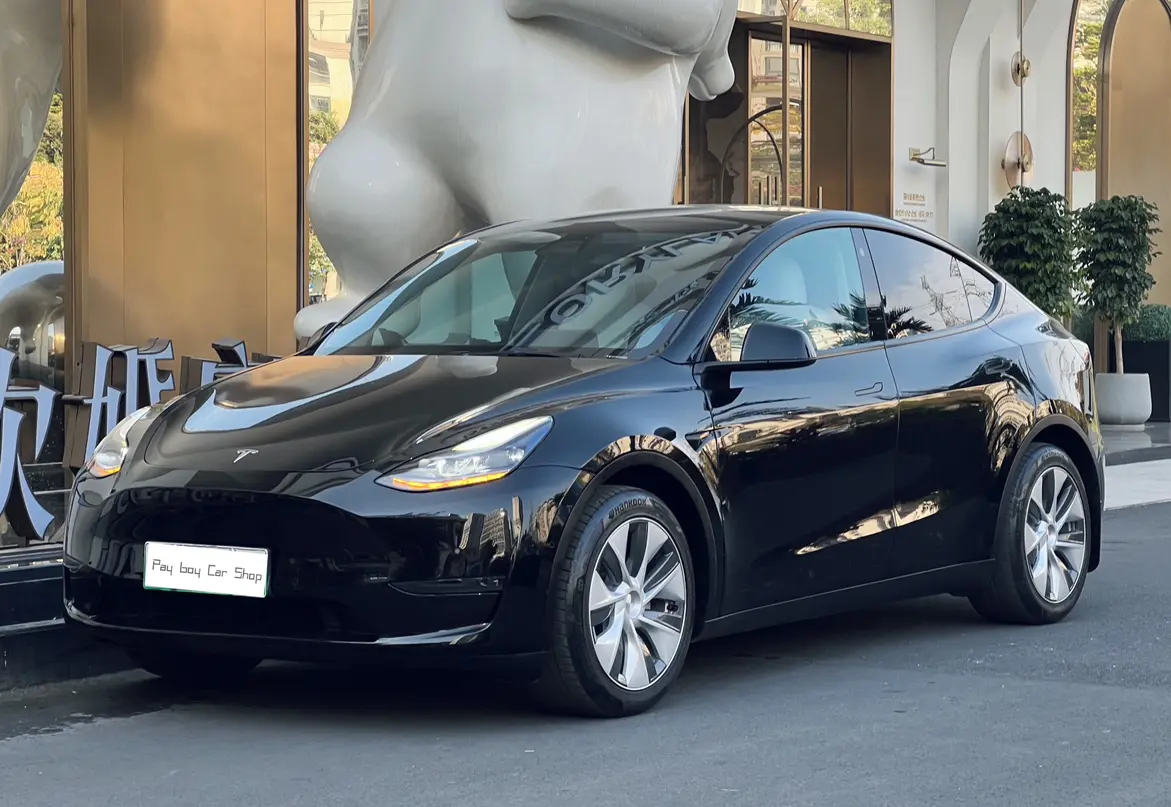 Tesla Model Y  из Китая