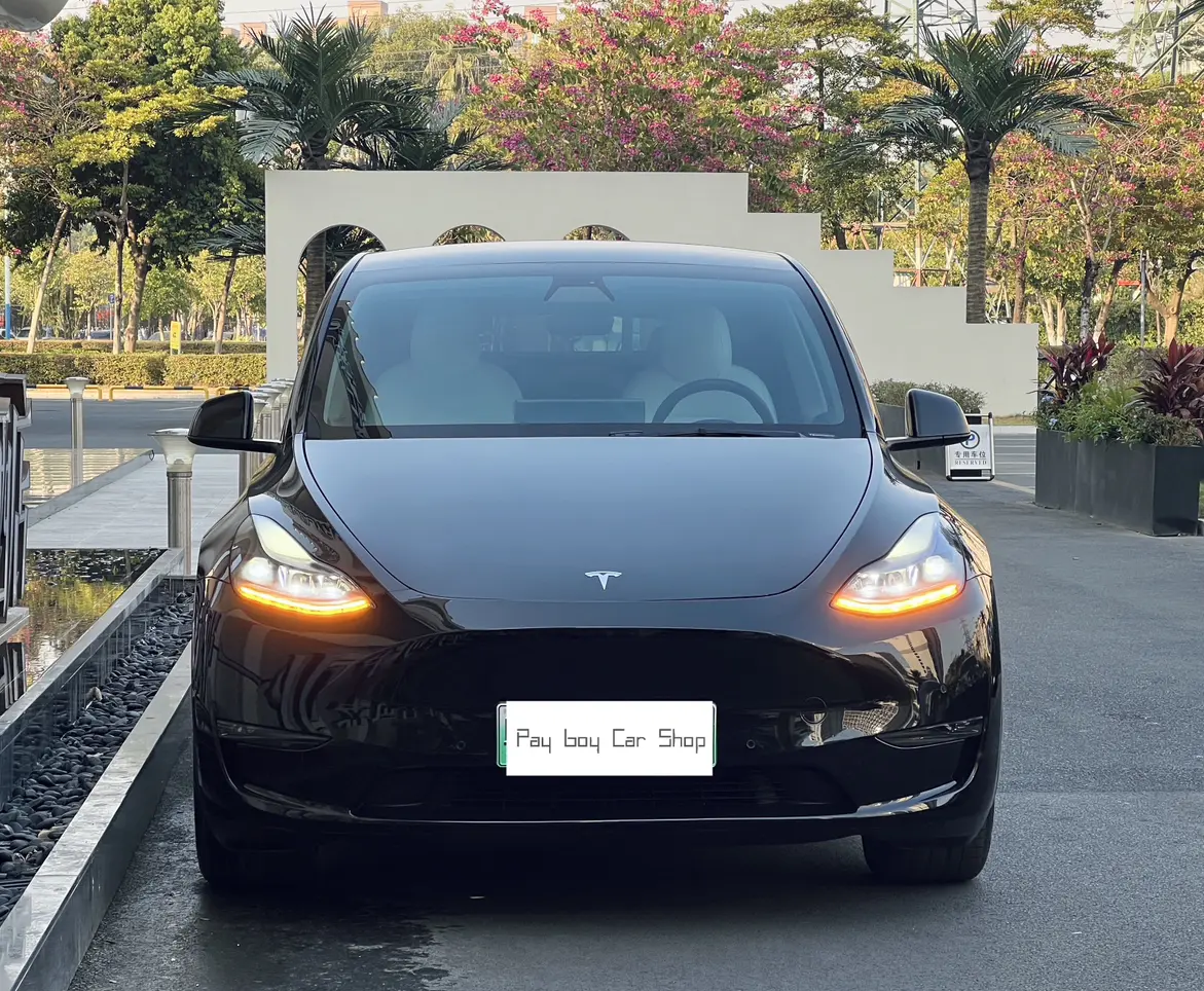 Tesla Model Y  из Китая