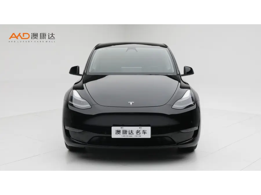 Tesla Model Y  из Китая