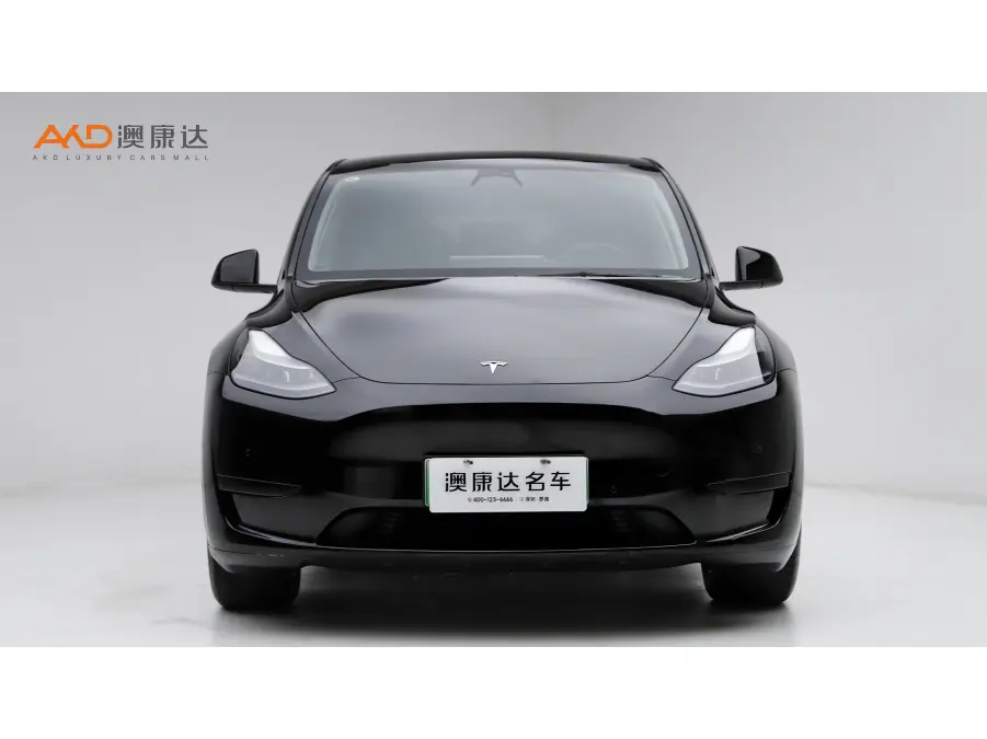 Tesla Model Y  из Китая