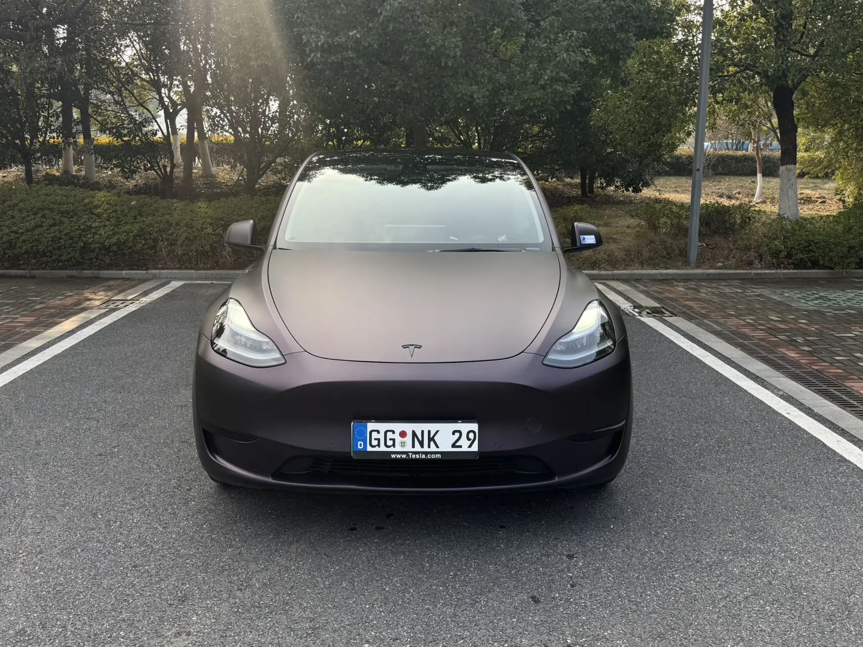 Tesla Model Y  из Китая