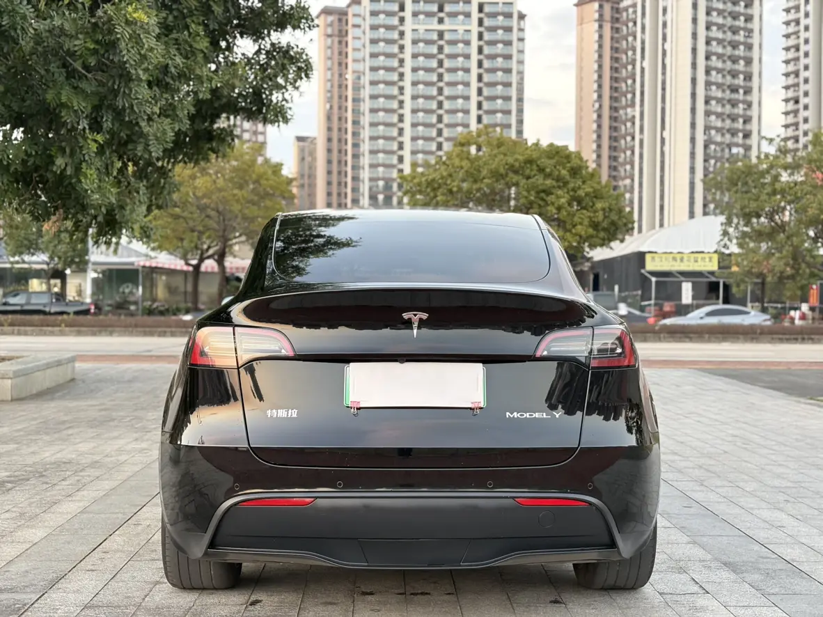 Tesla Model Y  из Китая