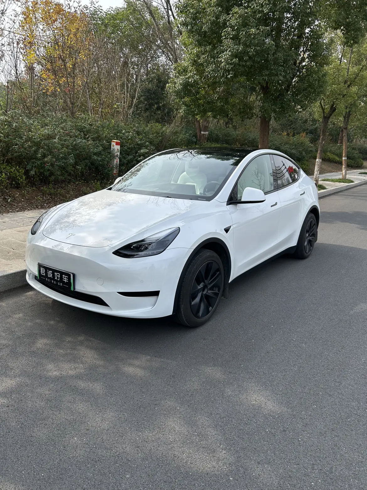 Tesla Model Y  из Китая
