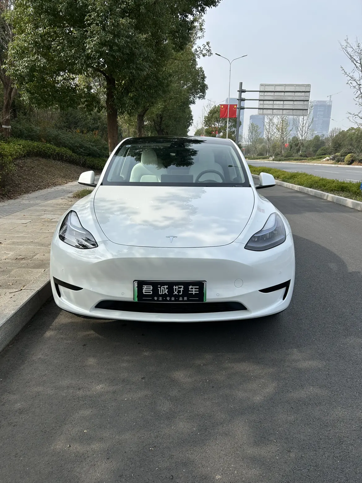 Tesla Model Y  из Китая