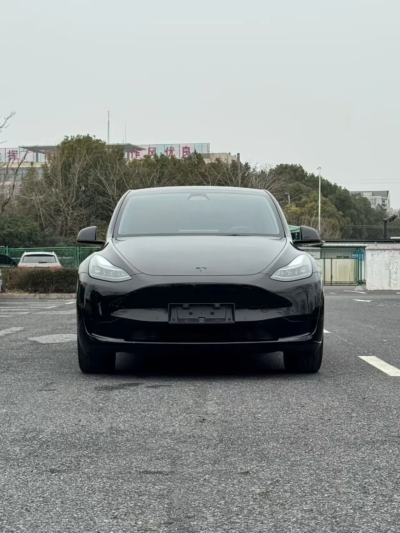 Tesla Model Y  из Китая