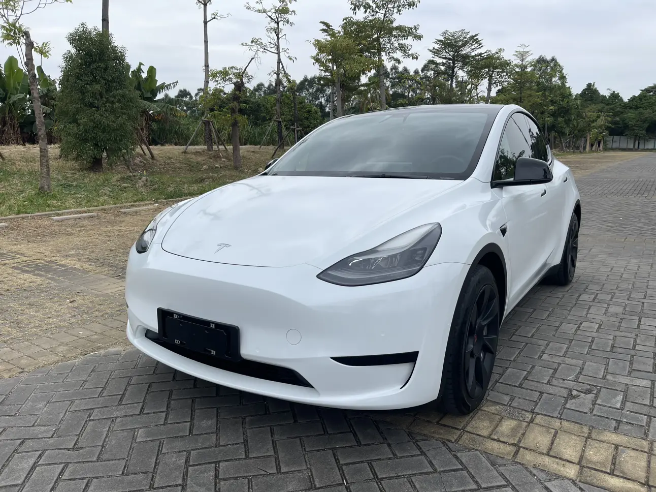 Tesla Model Y  из Китая
