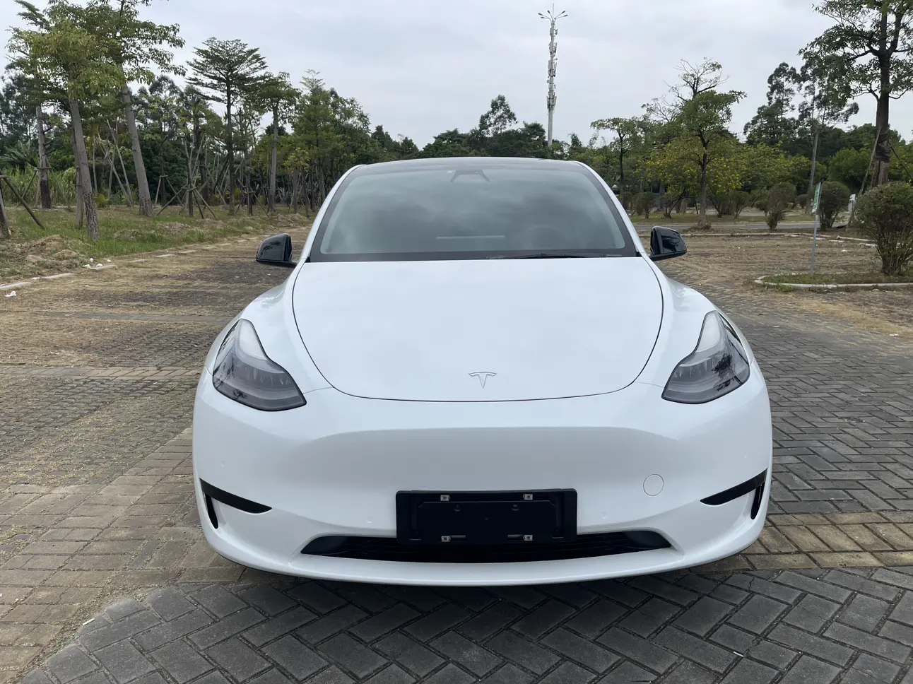 Tesla Model Y  из Китая