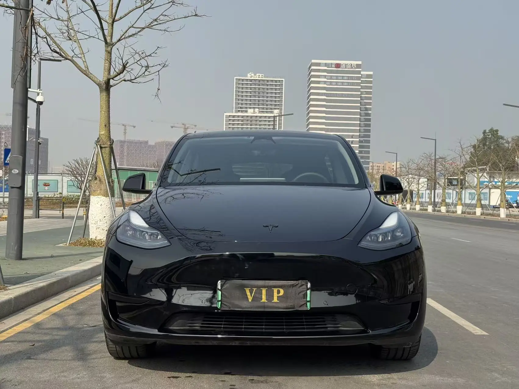 Tesla Model Y  из Китая
