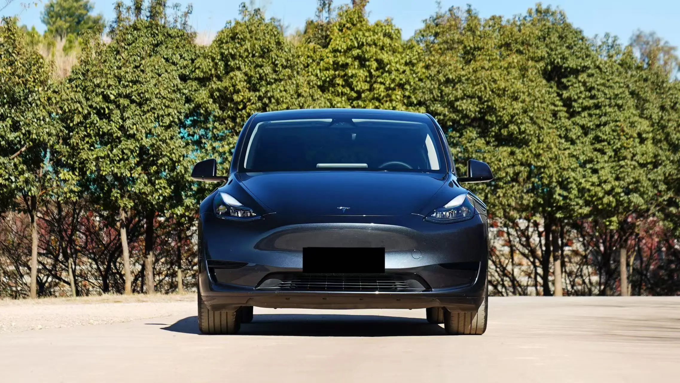 Tesla Model Y  из Китая