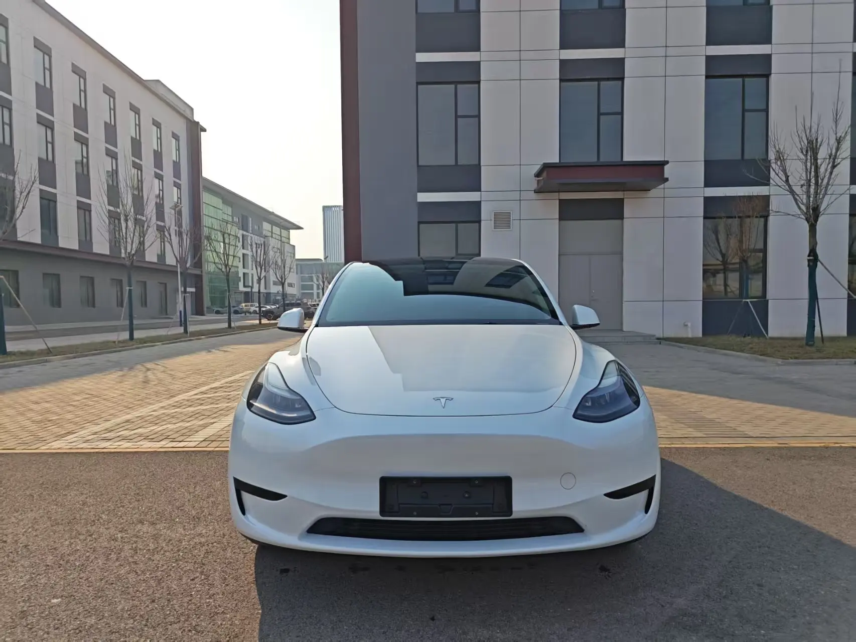 Tesla Model Y  из Китая