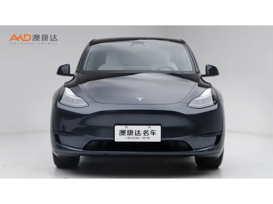 Tesla Model Y  из Китая