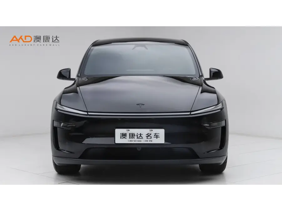 Tesla Model Y  из Китая