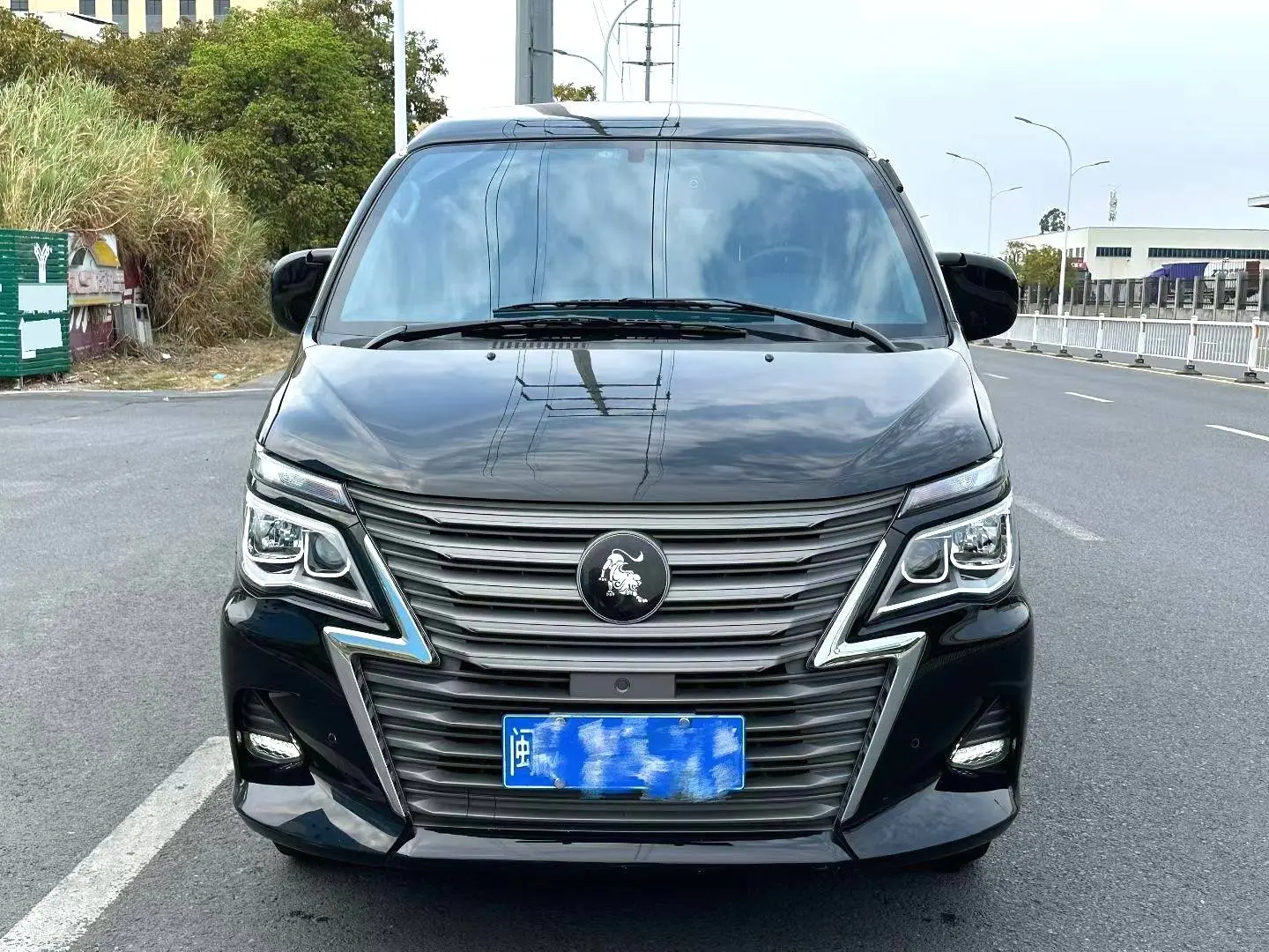 Forthing Lingzhi  из Китая