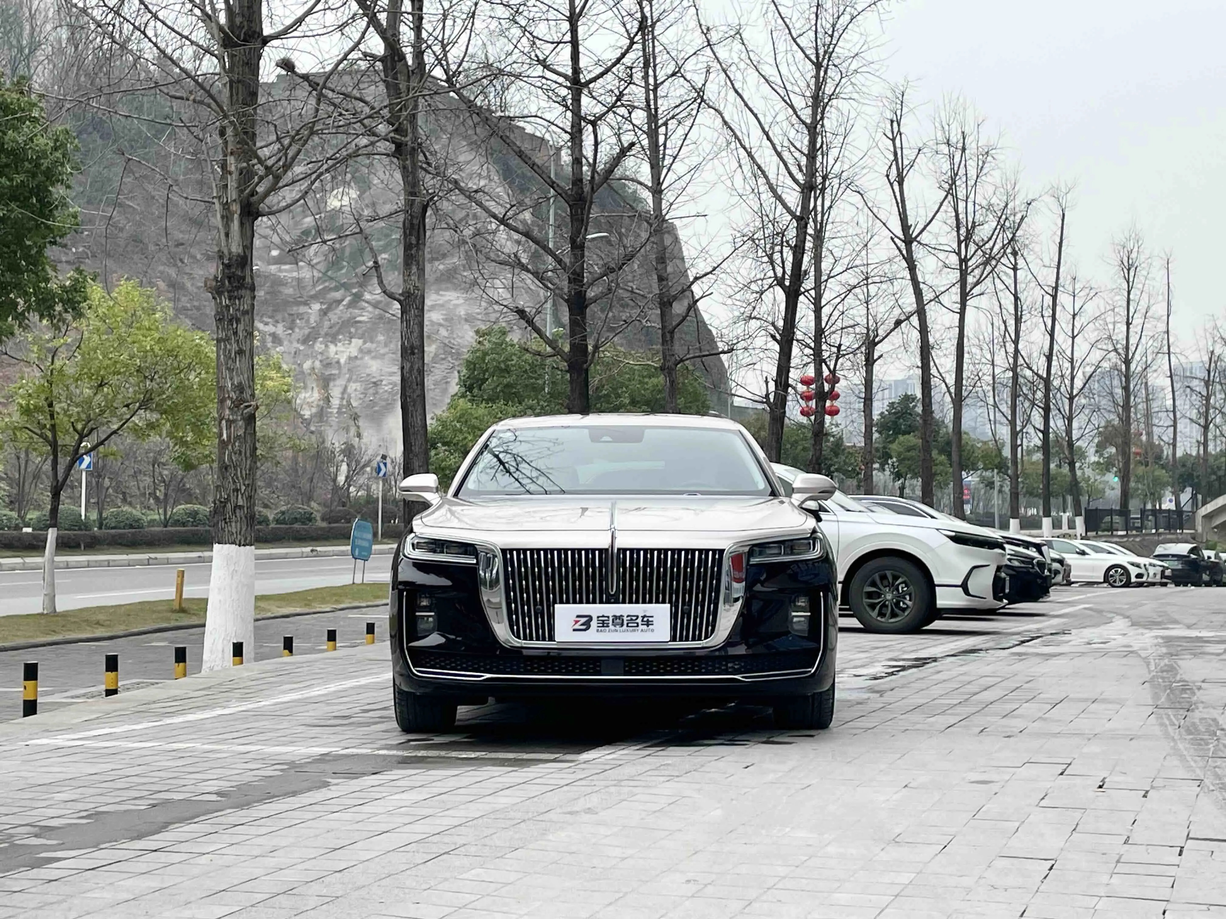 Hongqi H9  из Китая