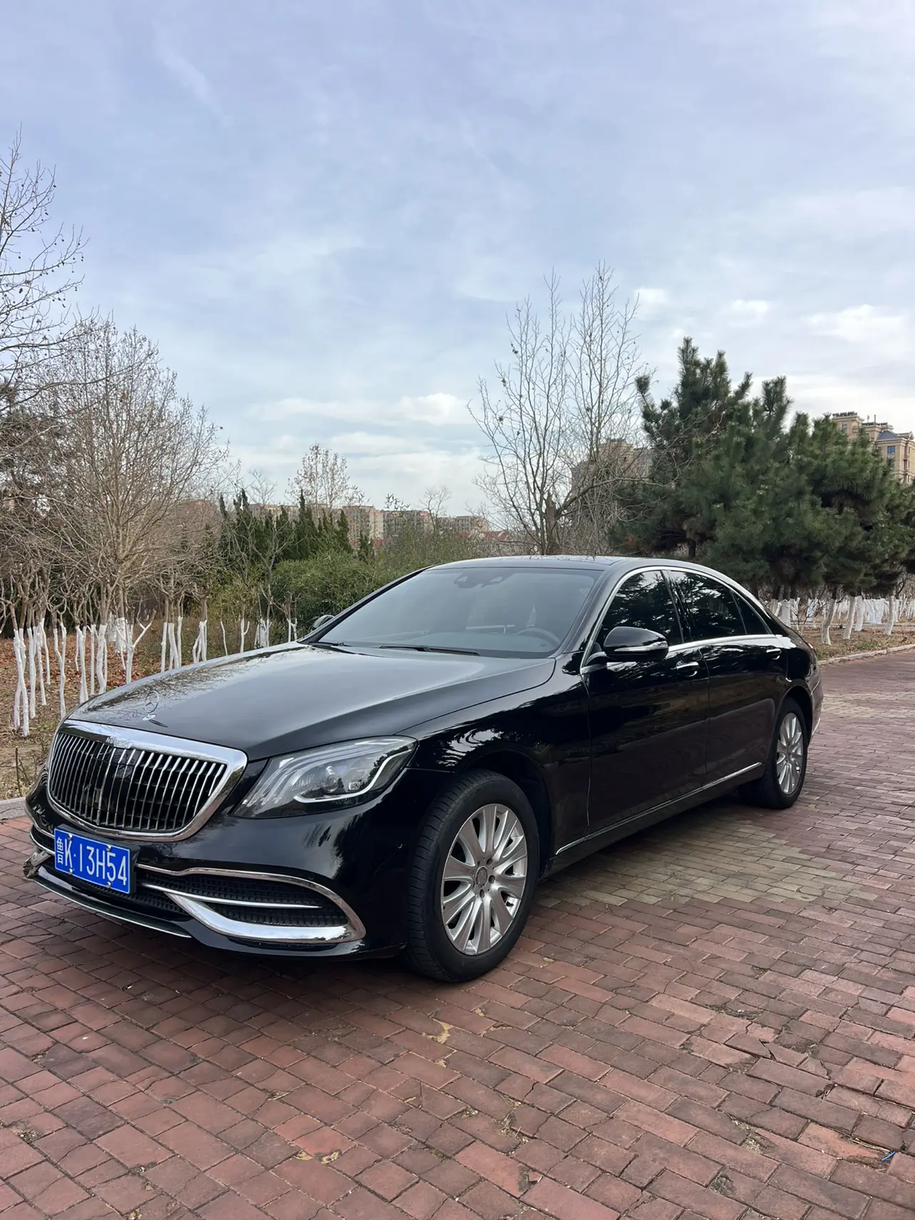 Mercedes-Benz Mercedes Benz S Class  из Китая