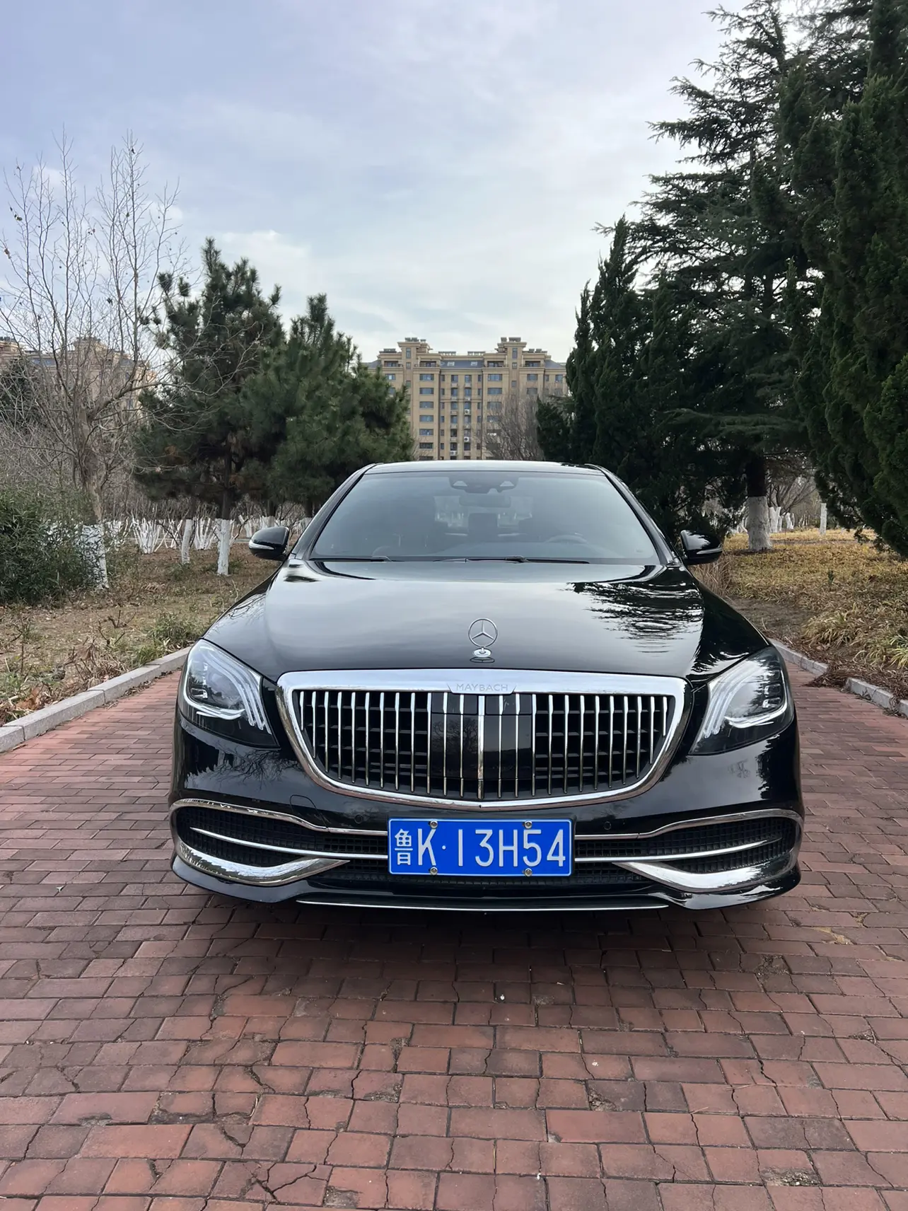 Mercedes-Benz Mercedes Benz S Class  из Китая