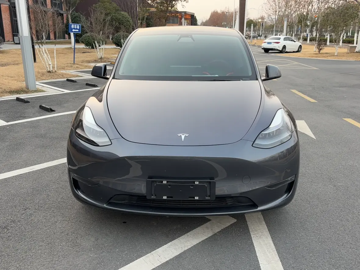 Tesla Model Y  из Китая