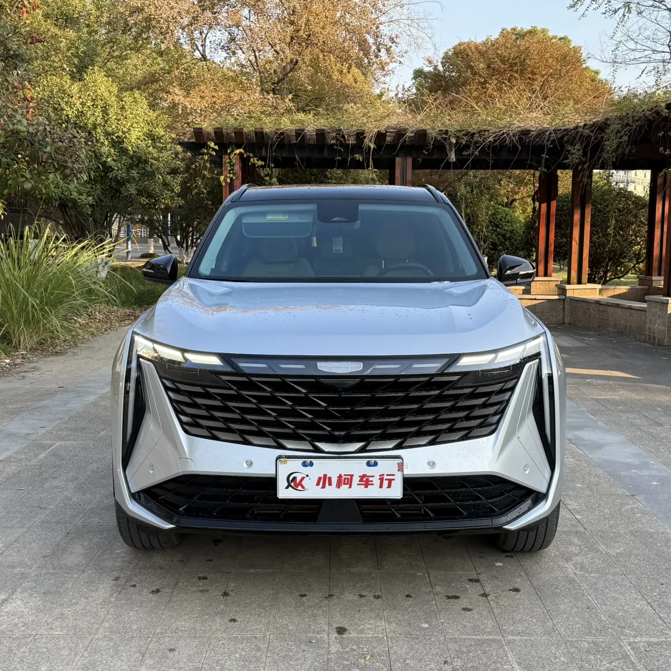 Geely Atlas L (Boyue L)  из Китая