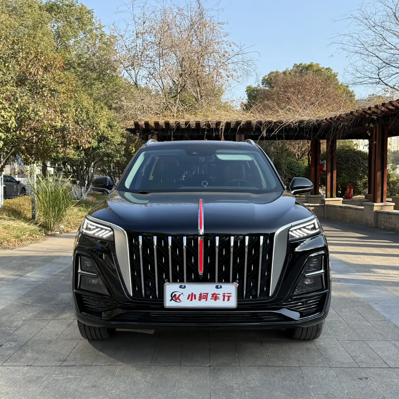 Hongqi HS5  из Китая
