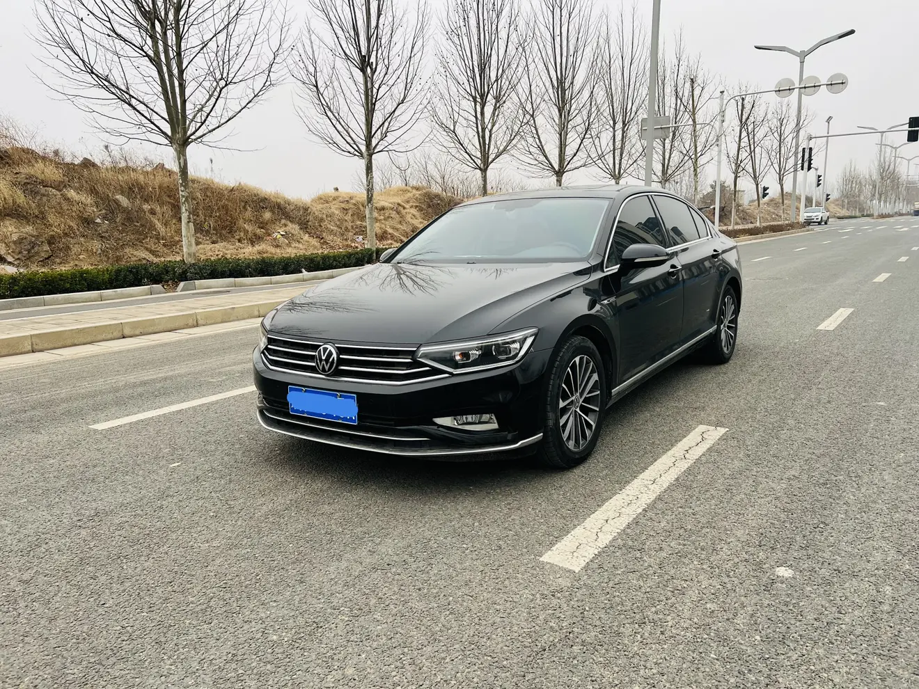 Volkswagen Magotan  из Китая