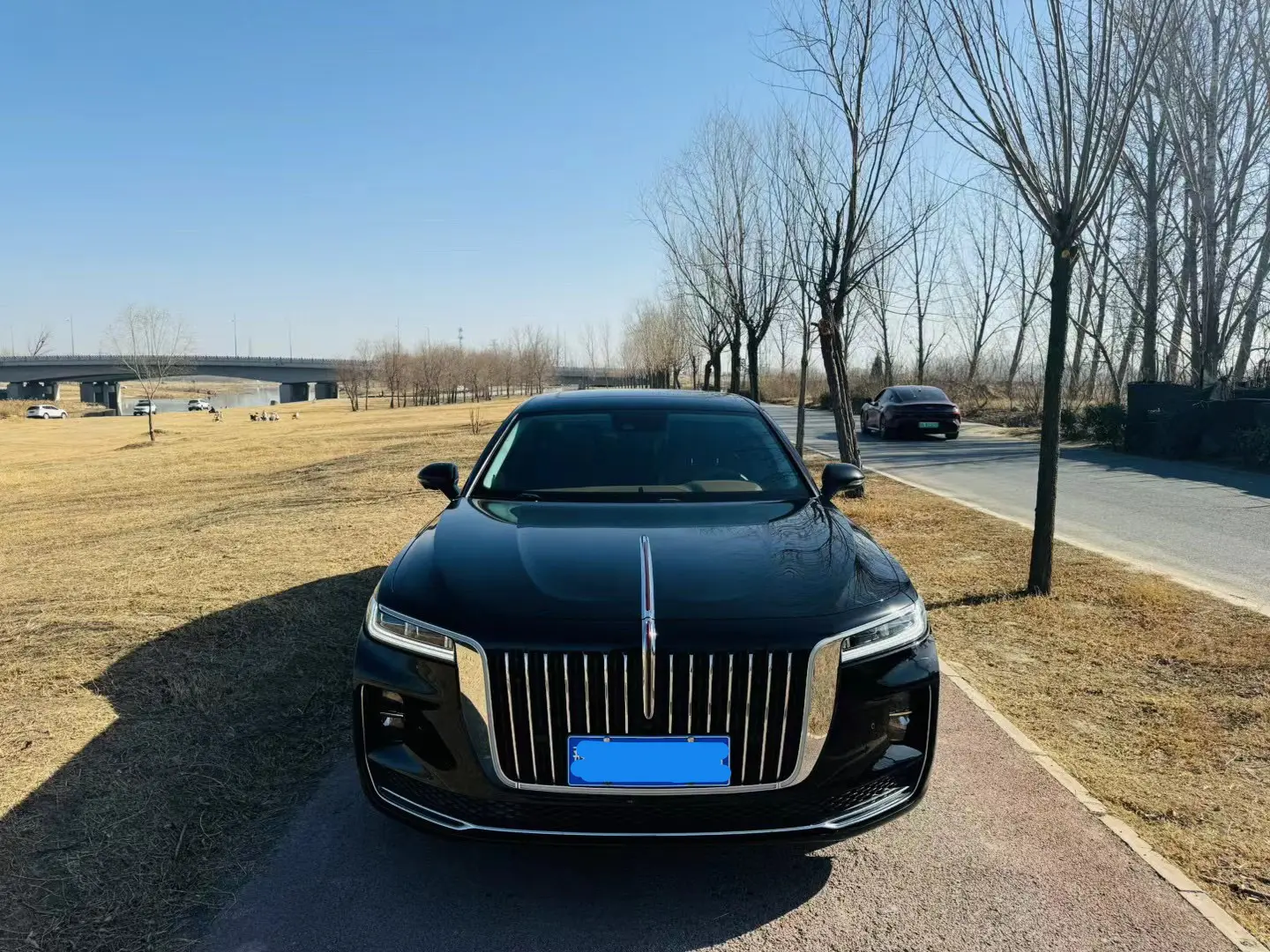 Hongqi H9  из Китая