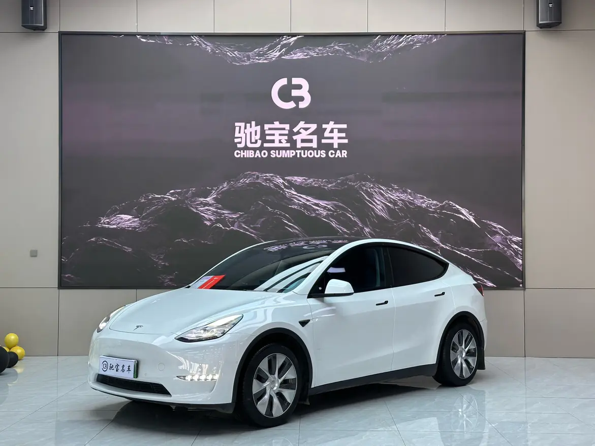 Tesla Model Y  из Китая