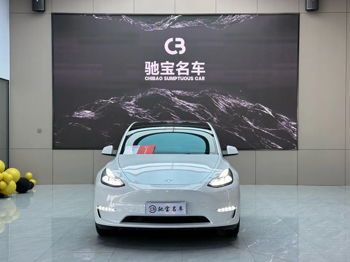 Tesla Model Y  из Китая