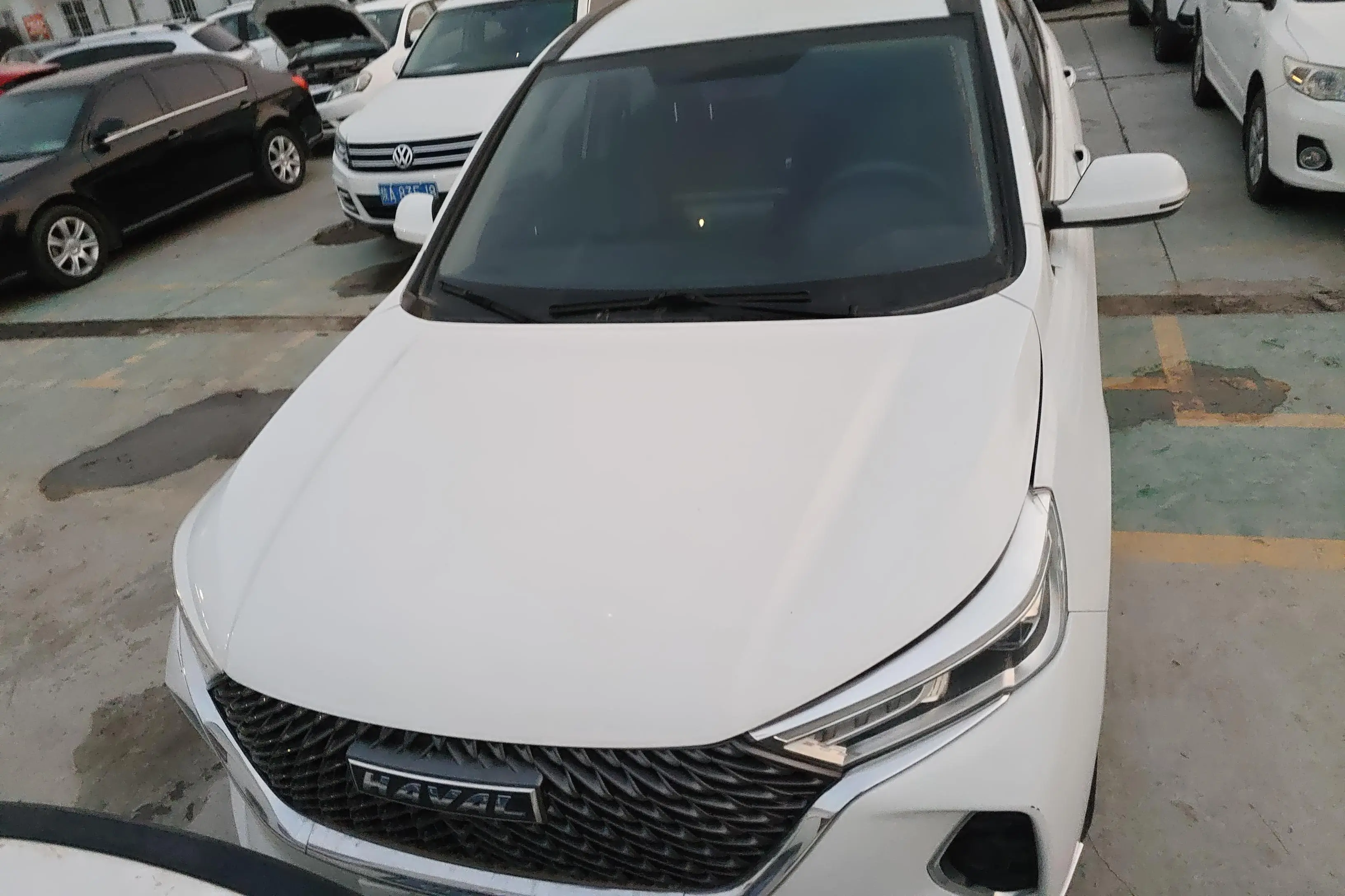Haval M6  из Китая