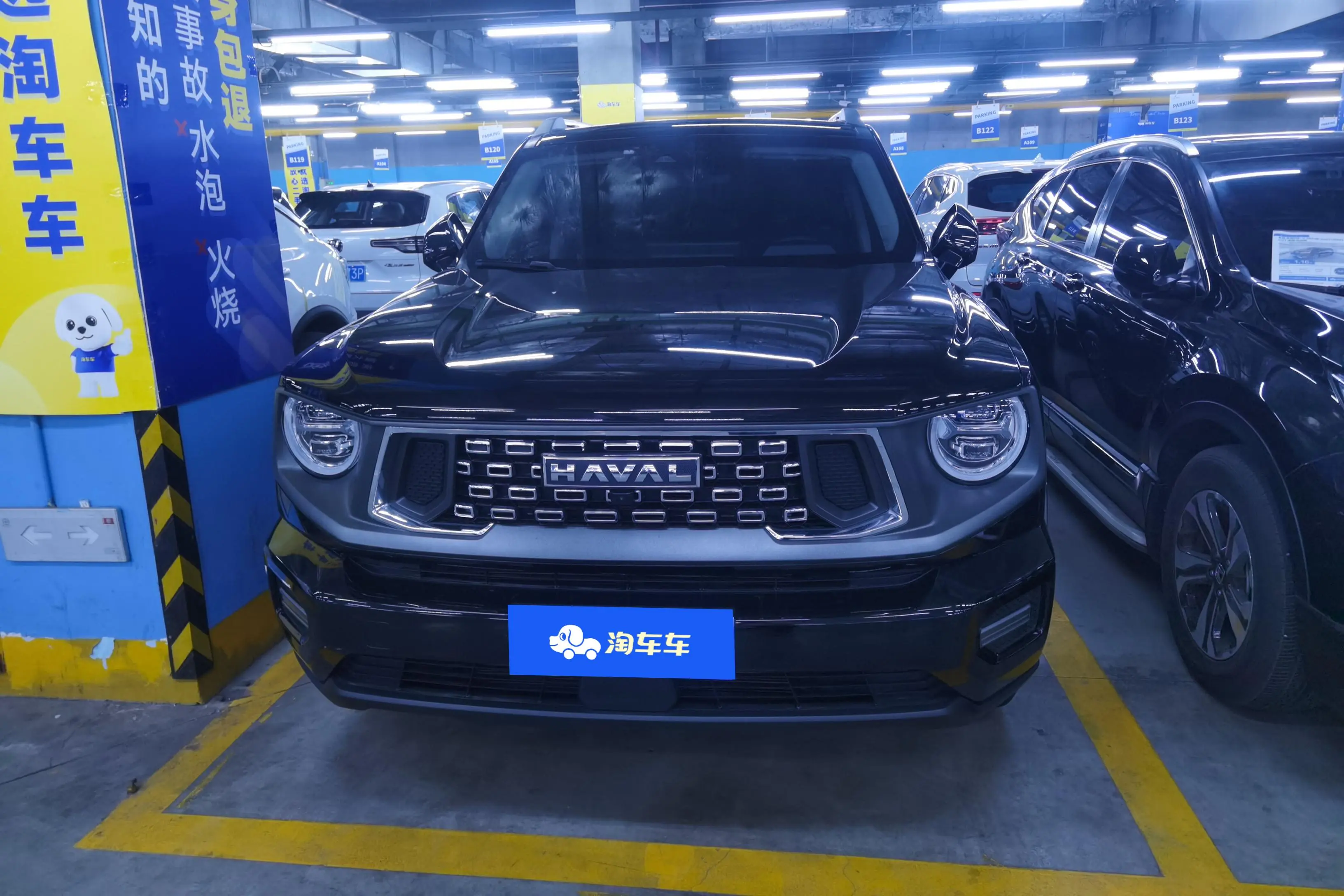 Haval Big Dog PLUS  из Китая
